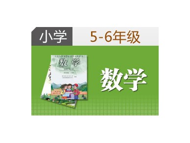 5-6年级数学 1对1个性化辅导