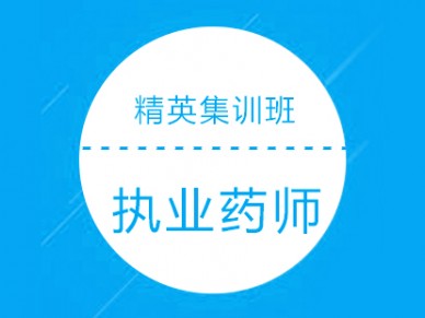 北京执业药师培训精英集训班